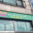 일레체 이미지