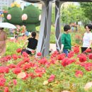 장미정원 이미지