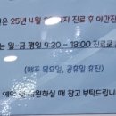 덴탈스파치과의원 네이버블로그