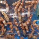 장땡으로가는길 이미지