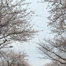 대륜동-4 이미지