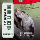 리베이커리 | [블로그리뷰] 하보카도 님의 정성 가득한 기록, 군산 쌀빵의 명소 리베이커리 방문 후기