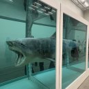 전등약국 | 데이미언 허스트 전시 후기: 삶과 죽음의 경계에서 마주한 지독한 아름다움