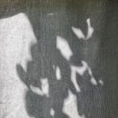 삼포공방 이미지
