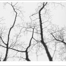 임성식 내과의원 이미지