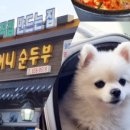 설악온천맘모스리조텔 이미지