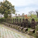 제주 올레길 13코스 이미지