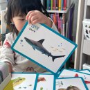 자연유아학교 | 5세책추천 유아 자연관찰책 전집 자연이알쏭 세이펜호환