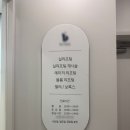 테스코 | 신논현역피부과 자보실 코실리프팅 테스코 후기 /가격 효과
