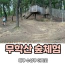 수성구립무학숲도서관 | 대구 숲놀이터 무학산 유아숲체험원 수성구 숲도서관
