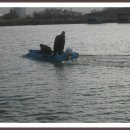 신애낚시터 이미지