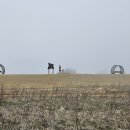 매향리 평화생태공원 이미지