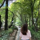 디어리스트 이미지