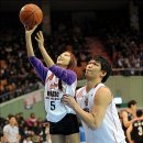 보라 카카오 검색결과