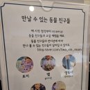 플레이 샌드