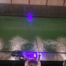 연정낚시터 이미지