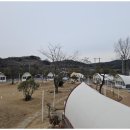 캠핑소사이어티