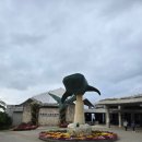 우리 가족 꿈의 수족관 이미지