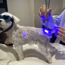 (주)에스메디칼 이미지