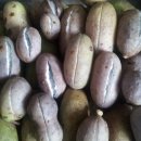 보라매약수터 이미지