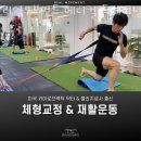 성수동2가헬스장 리얼무브먼트 메디컬 트레이닝 센터 PT 위치 정보