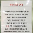 펫가든 동물병원 이미지