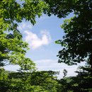 소요유 Daum카페