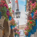 아름스토아 | 맘마미아밴드와 함께한 두바이, 모로코, 스페인 여행(54)...가 보고 싶었던 곳이나 가지 못했던 곳...