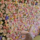 카페라온 이미지