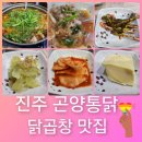곤양 | 진주 자유시장 내 닭곱창 맛집 곤양통닭