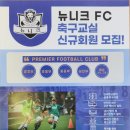 뉴니크(Newnique) 이미지