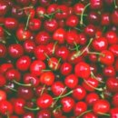 자연산다슬기탕전문 이미지