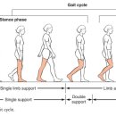 우리들척추운동센터 이미지