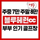윤법인 | 블루헤런cc 개인 법인 정회원권, 주중 7만 주말 8만 부부 골퍼 인기 골프장