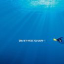 도리김밥 이미지