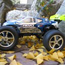 하양초등학교 이미지