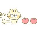 아마르카페신정호수점