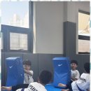 용인대 영광 태권도장 | 효성남초태권도 아이들이 안심하고 배우는 특별한 태권도장 체험기