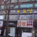 냥카페 묘연 이미지