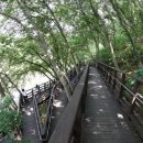 도음산 산림문화수련장 이미지