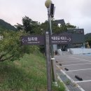 2026년 09월 19일(토) 제236차 동강 백운산 정기산행 이미지