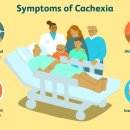 암 환자의 식욕부진, 악액질(Cachexia), 메게스트롤, 메게이스 이미지