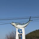다도해회관 | 고흥 나로도 삼치회 맛집 추천 :우주수산 , 다도해회관