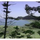 솔향기공원 이미지