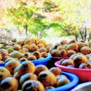 자비손한의원 이미지