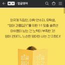 업글영어 | [호주워홀D-7] 내돈내산 갓성비 화상영어 업글영어 (3주 수업후기)