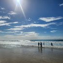 썬샤인캠프 이미지