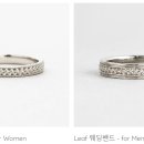 더플레인(The plain)