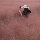 청운농장 이미지