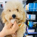 우미세탁소 이미지